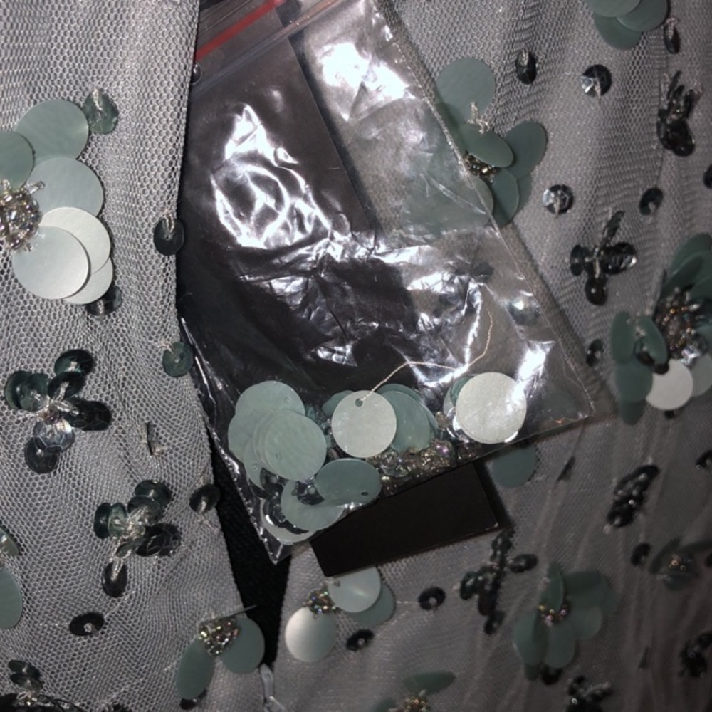 Adrianna Papell Frosted Sage Beaded Evening Gown - Picture 5 of 6